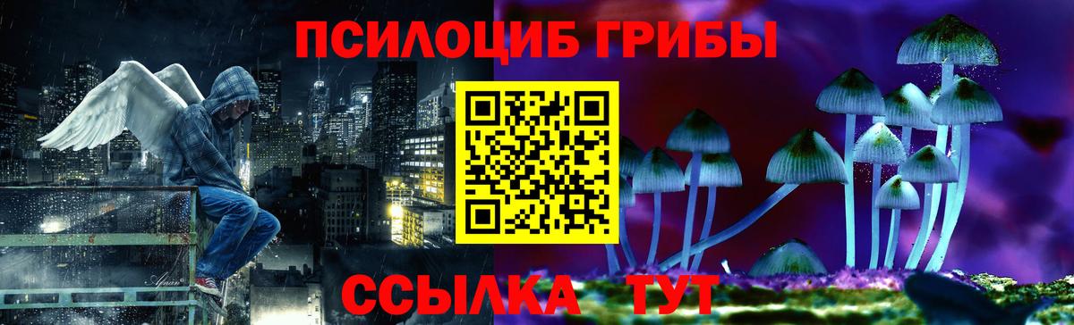 Псилоцибиновые грибы мицелий Бор